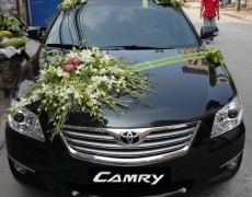 Xe Toyota Camry 2.4 2009